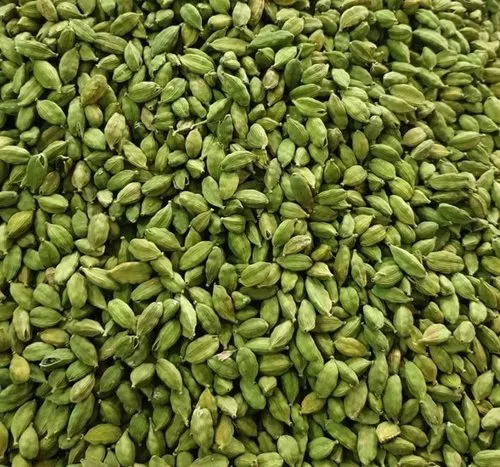 Cardamom