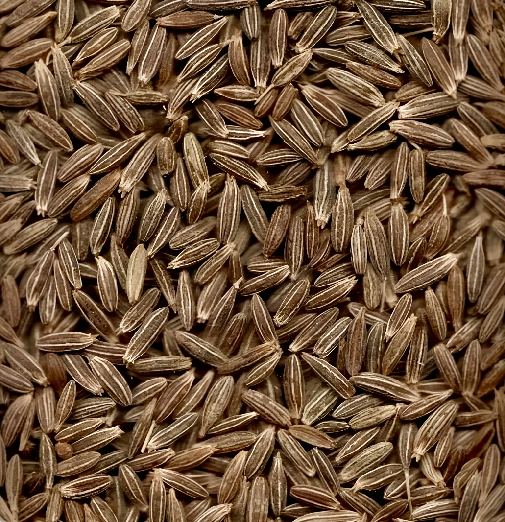 Cumin Seeds